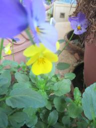 yIMG_4336
