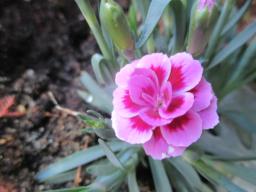 yIMG_4339