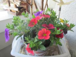 yIMG_4342