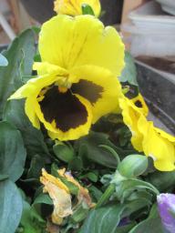 yIMG_4401