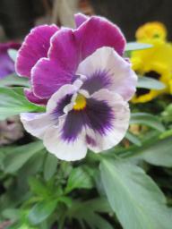 yIMG_4402