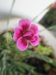yIMG_4427