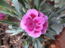 yIMG_4429