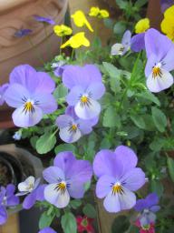 yIMG_4432