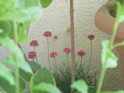 yIMG_4434