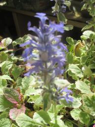 yIMG_4436