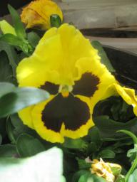 yIMG_4442