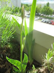 yIMG_4549