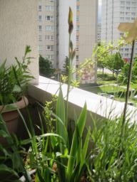 yIMG_4551