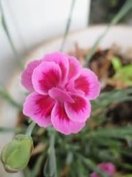 yIMG_4555