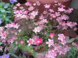 yIMG_4561