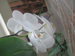 yIMG_4649