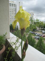 yIMG_4658