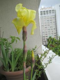 yIMG_4659