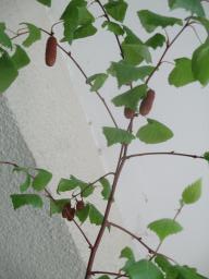 yIMG_4662