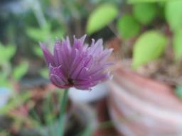 yIMG_4663