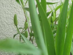 yIMG_4668
