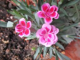 yIMG_4672