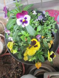 yIMG_4678