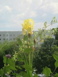 yIMG_4742