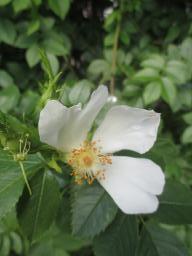 yIMG_4775