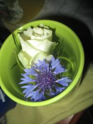 yIMG_4835