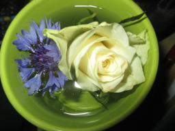 yIMG_4836