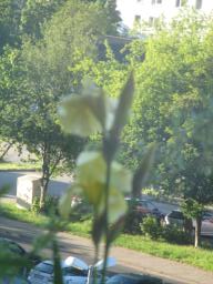 yIMG_4841