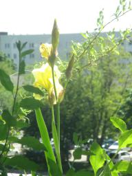 yIMG_4885
