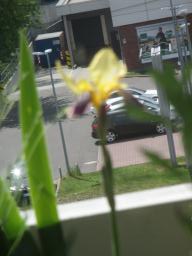 yIMG_4929