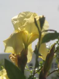 yIMG_4932