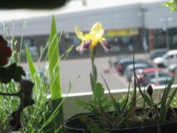 yIMG_4934