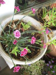 yIMG_4970