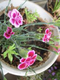 yIMG_4971