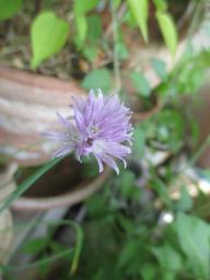 yIMG_4973