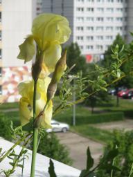 yIMG_4981