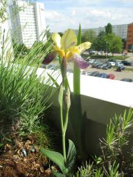 yIMG_4983