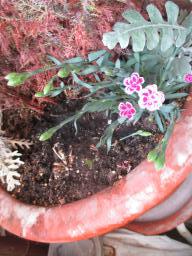 yIMG_4985