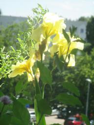yIMG_5059