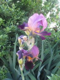 yIMG_5066