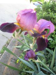yIMG_5067
