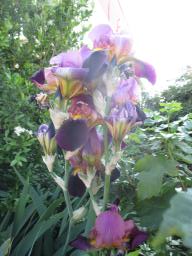 yIMG_5068