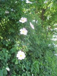 yIMG_5069