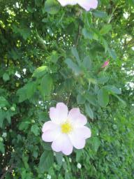 yIMG_5070