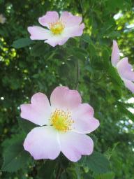 yIMG_5071