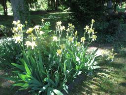 yIMG_5073