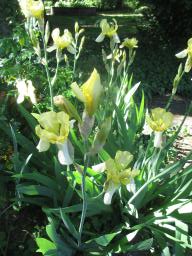 yIMG_5074