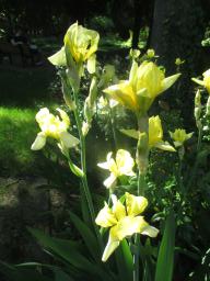 yIMG_5075