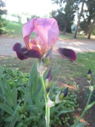 yIMG_5077