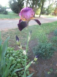yIMG_5078